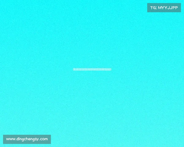 现代汽车驰骋全球赛事巅峰舞台展现速度激情与创新精神